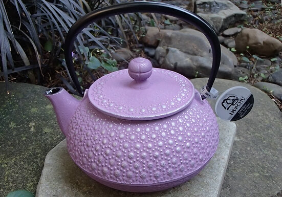 Cast iron tea pot, Authentic Tetsubin, Japanese craft – Irasshai, Online  Store